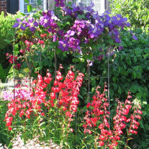 Meet your Posher, Hazel